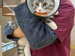 -芭比堂动物医院·犬猫全科·异宠专科(雁塔分院)