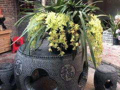 -园林美食城·本土农家菜(杨和镇店)