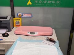 -半岛宠物医院24小时(科华中路店)