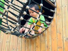 -枫香湖儿童公园