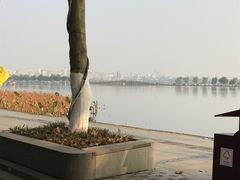 -也枫·小黄楼(南山路旗舰店)