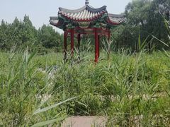 -北京麋鹿生态实验中心