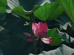 -前关湿地公园