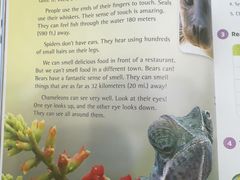 -I-Shine英语国际教育(大三林中心)