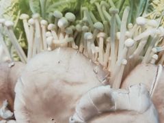 -为什么牛潮汕牛肉火锅(中信广场店)