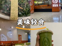 -油梨树 AVOCADO TREE(亮马桥店)