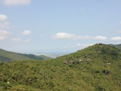 -亚龙湾热带天堂森林公园