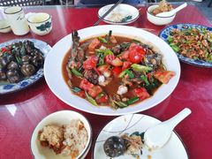 剑骨鱼啤酒炖-生态苑农庄(十里画廊遇龙河店)