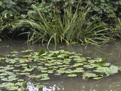-洛阳市隋唐城遗址植物园