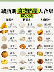 -Fundi张玉珊修身堂·indiba·BTL科技瘦身