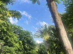 -三亚凤凰水城凯莱度假酒店