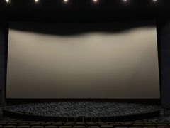 -万达影城(汉街万达广场IMAX店)