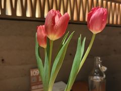 -一坐一忘云南菜(北京skp店)