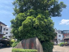 -东梓关景区村庄