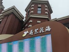 -荷兰花海