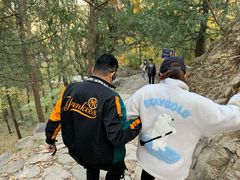 -北京鹫峰国家森林公园
