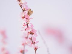 -三里河公园