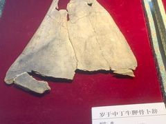-安阳博物馆