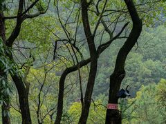 -南山植物园