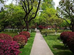 -南京中国近代史遗址博物馆(南京总统府)