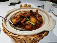 东坡鲍鱼焖凤爪-南麓·浙里(外滩店)