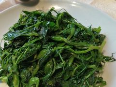-小京华楼·京味斋(三元桥国展店)