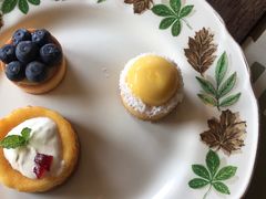 -时光花园(白鹭洲店)