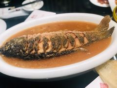 -阿庄新豫菜(航海东路店)