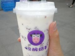 -一只酸奶牛(八一路店)