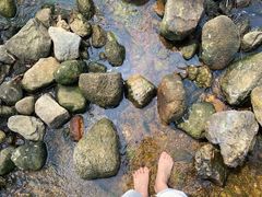 -马峦山郊野公园