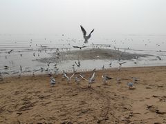 -金梦海湾浴场