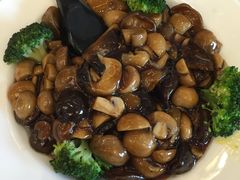 鲍汁四宝蔬-峨嵋酒家(地安门店)