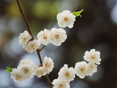 -颐和园