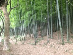 景点-穹窿山景区