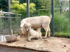 -西安电影制片厂