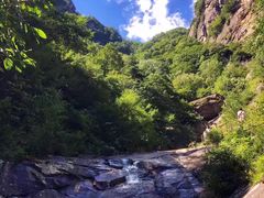 -青峰峡国家森林公园