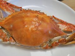 -日丰园海肠水饺·老字号大连海鲜(小平岛总店)