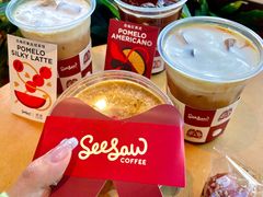 -Seesaw Coffee(朝阳大悦城店)