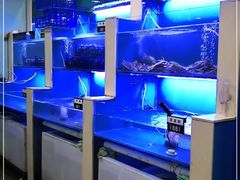 -老虎滩大连海鲜烧烤(建邺云锦路总店)