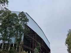 -黄埔油麻山森林公园