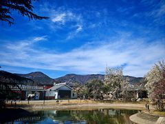 -国家植物园南园