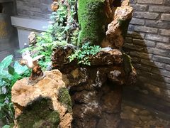 -蜀大侠火锅(四川北路店)