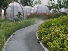 -悦见花开·花园里的火锅·露营·下午茶