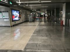 -竹子林(地铁站)