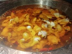 招牌水煮三峡鱼-雲蜀龙阁·金牌水煮鱼(方庄店)