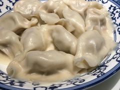白菜猪肉水饺-东方饺子王(文化东路店)