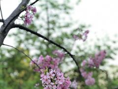 -乌山风景区