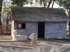 -昆山城市生态森林公园