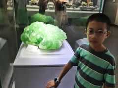 -湖南省地质博物馆