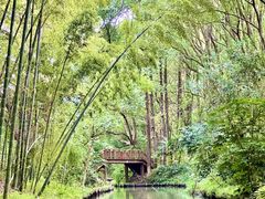 -同里国家湿地公园